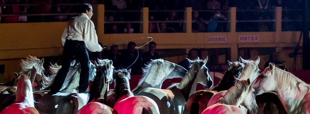 Saintes Maries 20130712-0517