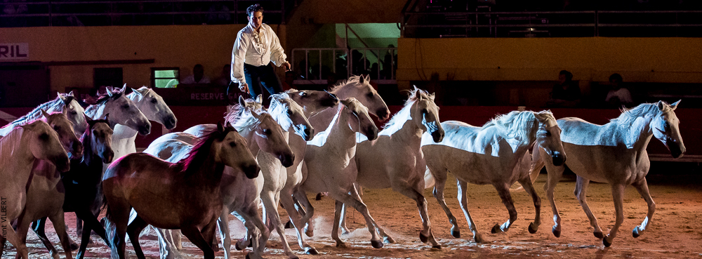 Saintes Maries 20130712-0525