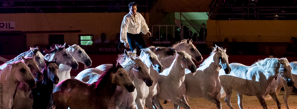 Saintes Maries 20130712-0525