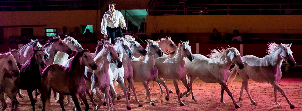 Saintes Maries 20130712-0527