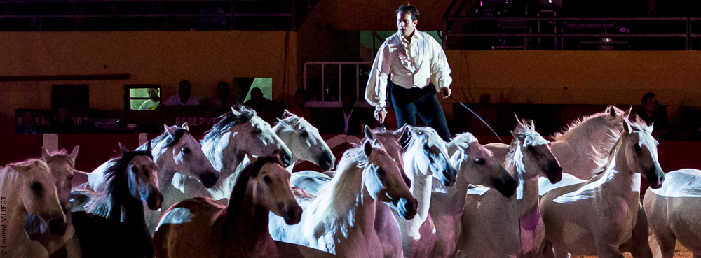 Saintes Maries 20130712-0529