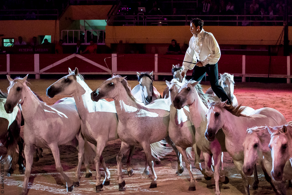Saintes Maries 20130712-0535