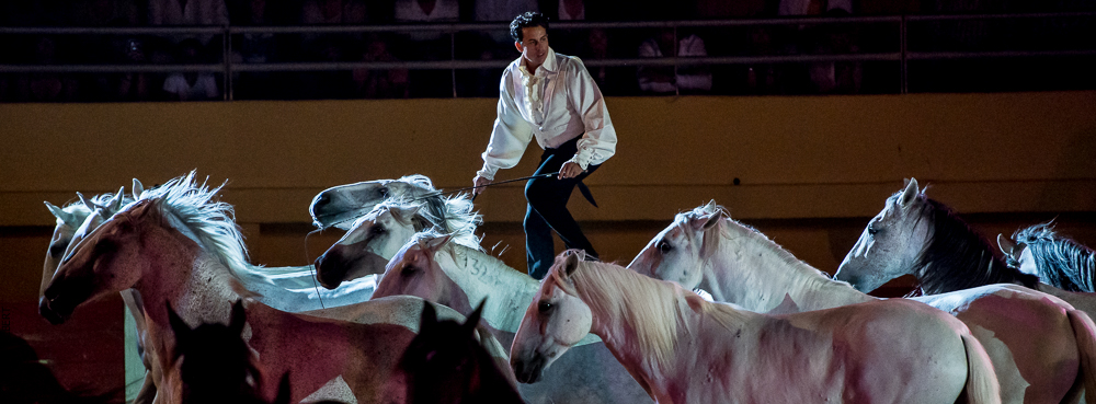 Saintes Maries 20130712-0539