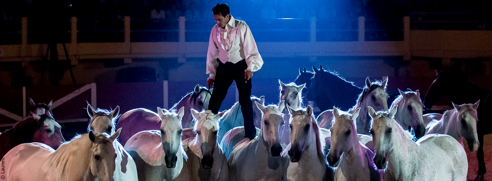 Saintes Maries 20130712-0553