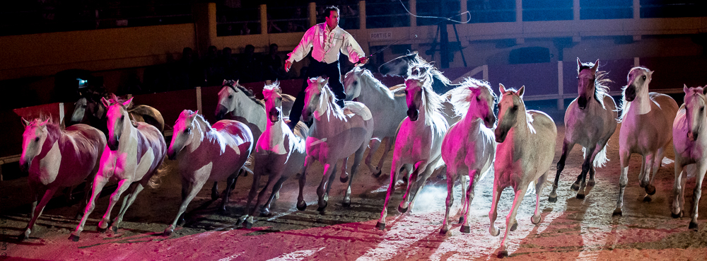 Saintes Maries 20130712-0557
