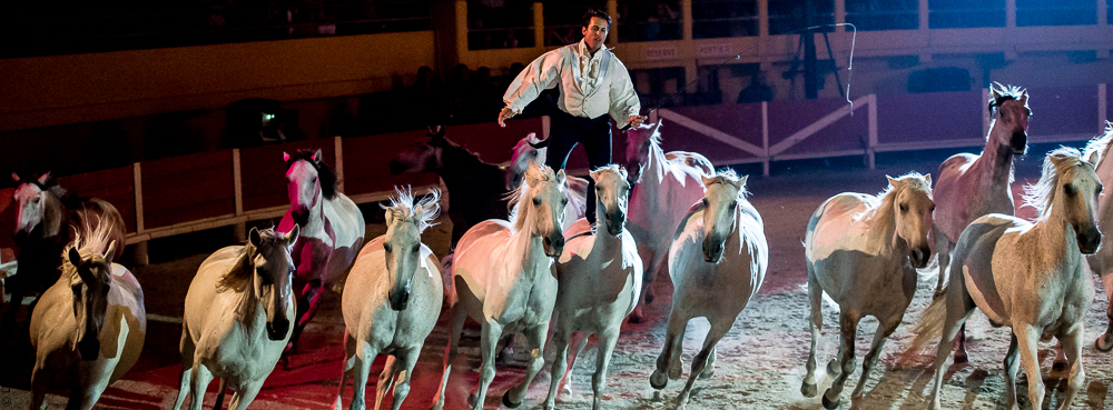 Saintes Maries 20130712-0561