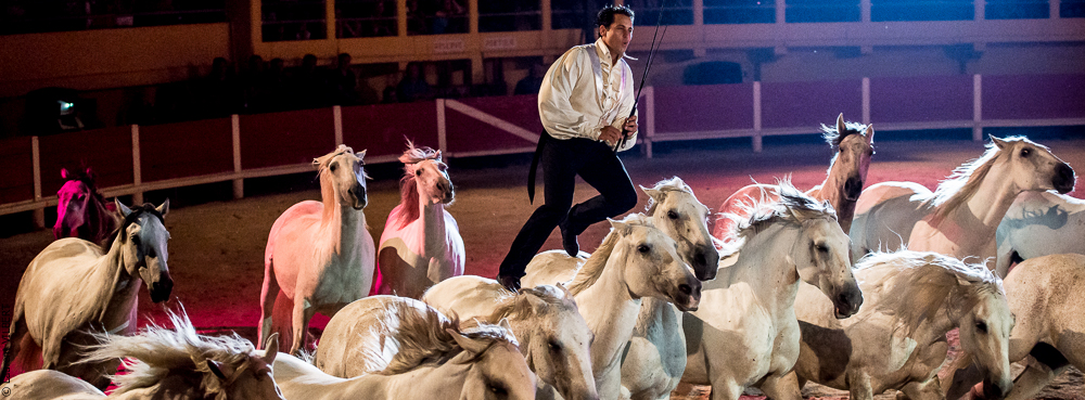 Saintes Maries 20130712-0565