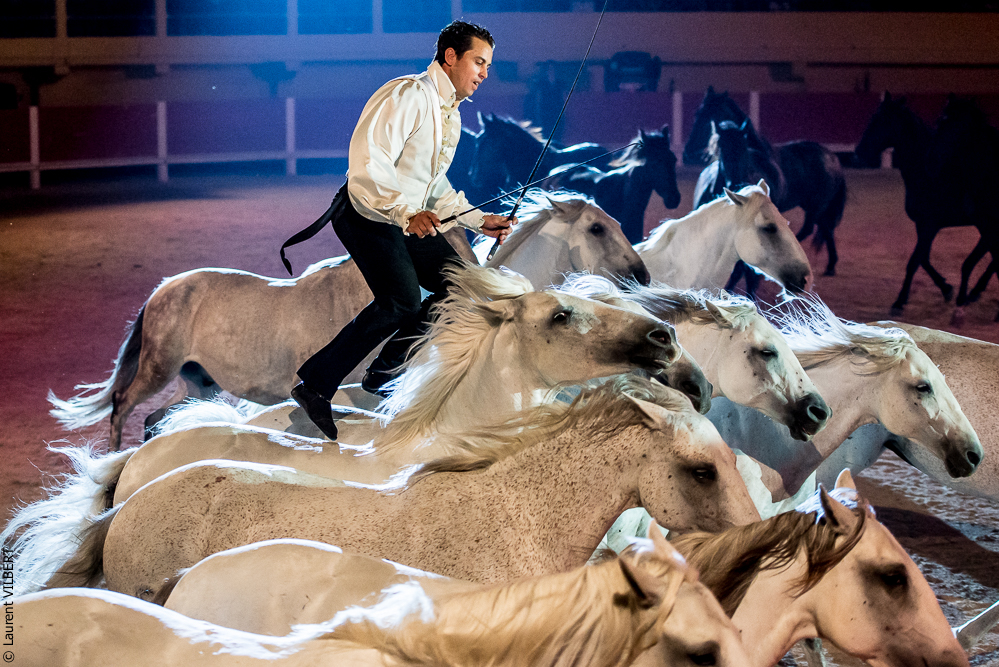 Saintes Maries 20130712-0568