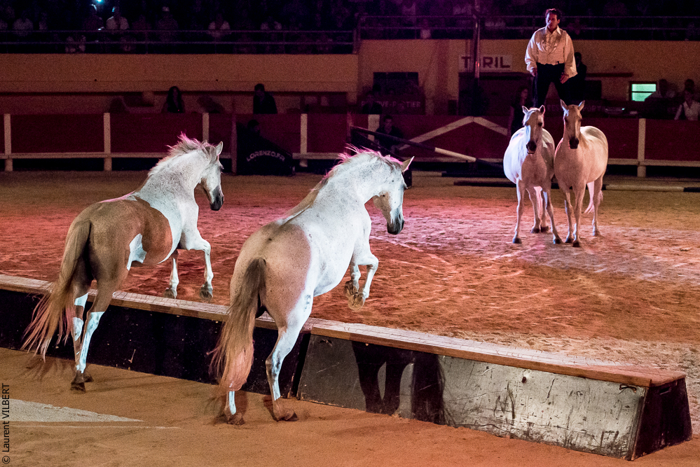 Saintes Maries 20130712-1432
