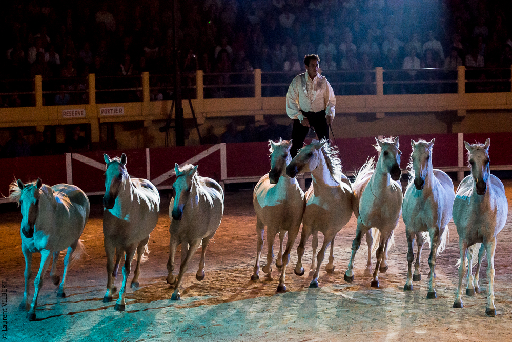 Saintes Maries 20130712-1436