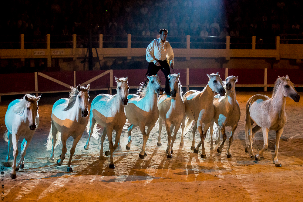 Saintes Maries 20130712-1438