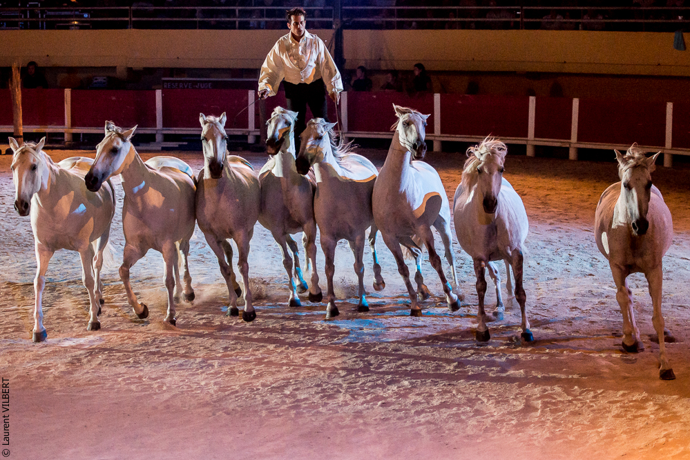 Saintes Maries 20130712-1442
