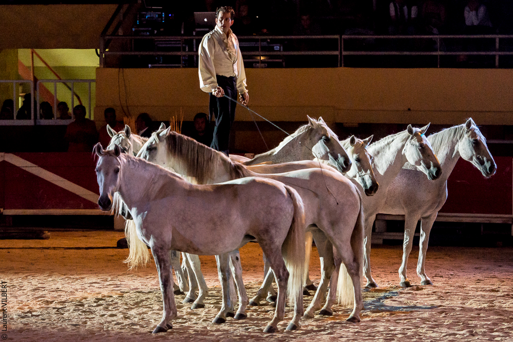 Saintes Maries 20130712-1457