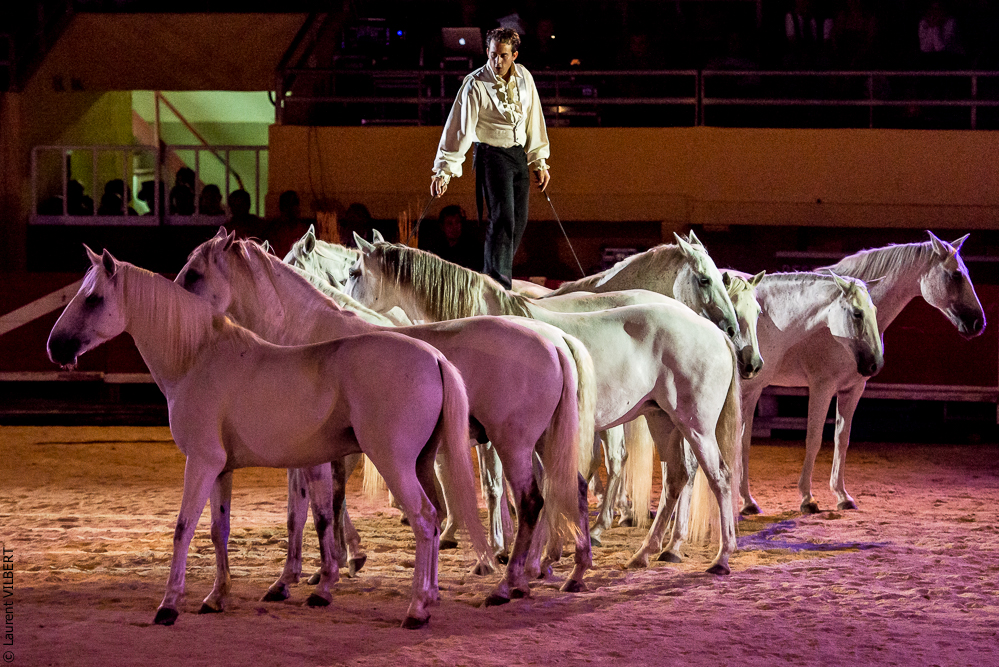 Saintes Maries 20130712-1458