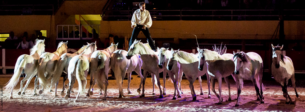 Saintes Maries 20130712-1464