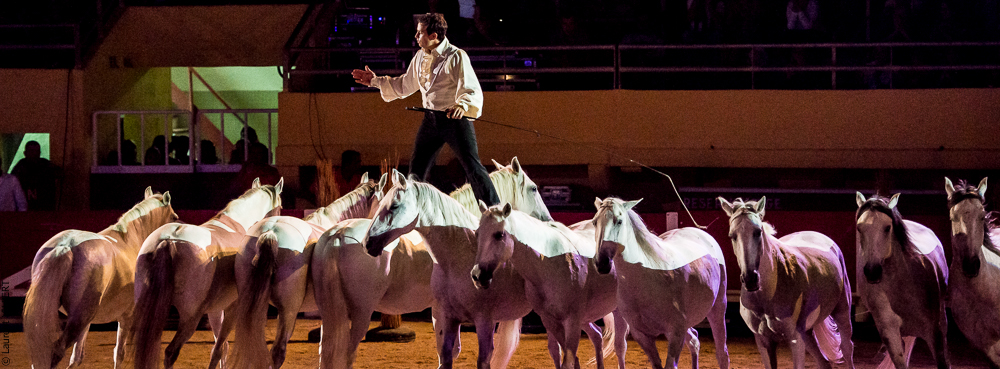 Saintes Maries 20130712-1473