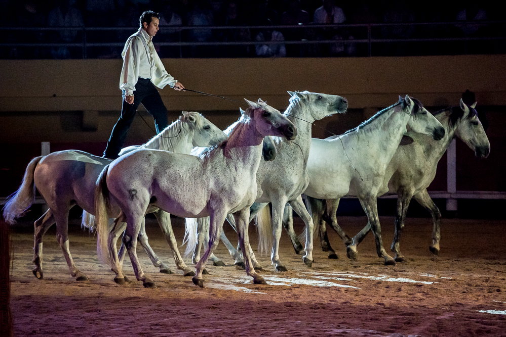 Saintes Maries 20130712-1495