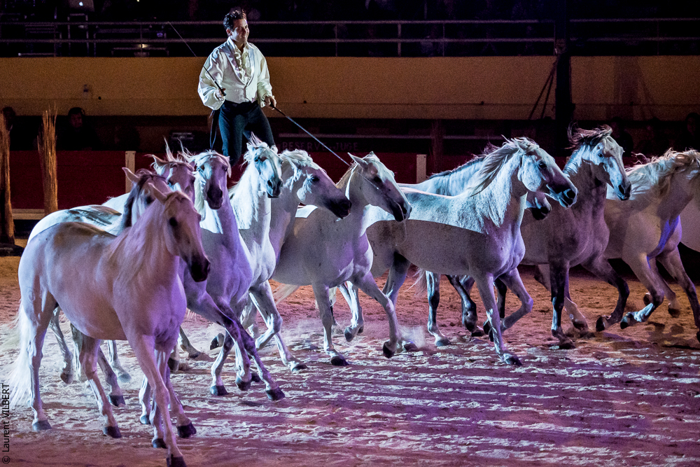 Saintes Maries 20130712-1496