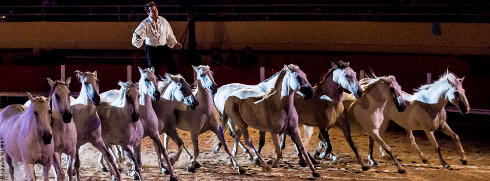 Saintes Maries 20130712-1498