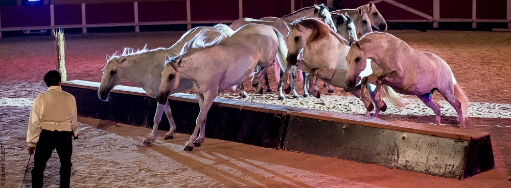 Saintes Maries 20130712-1511