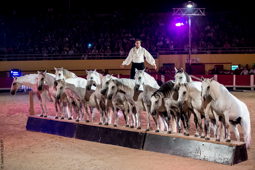 Saintes Maries 20130712-1539