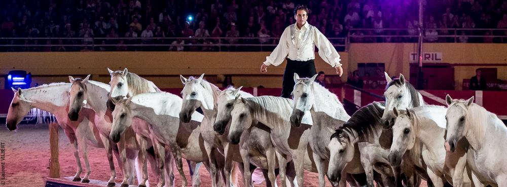 Saintes Maries 20130712-1539