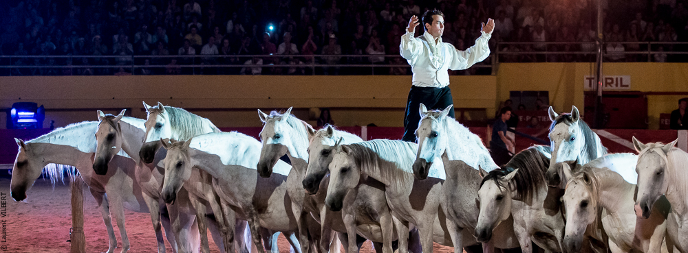 Saintes Maries 20130712-1542