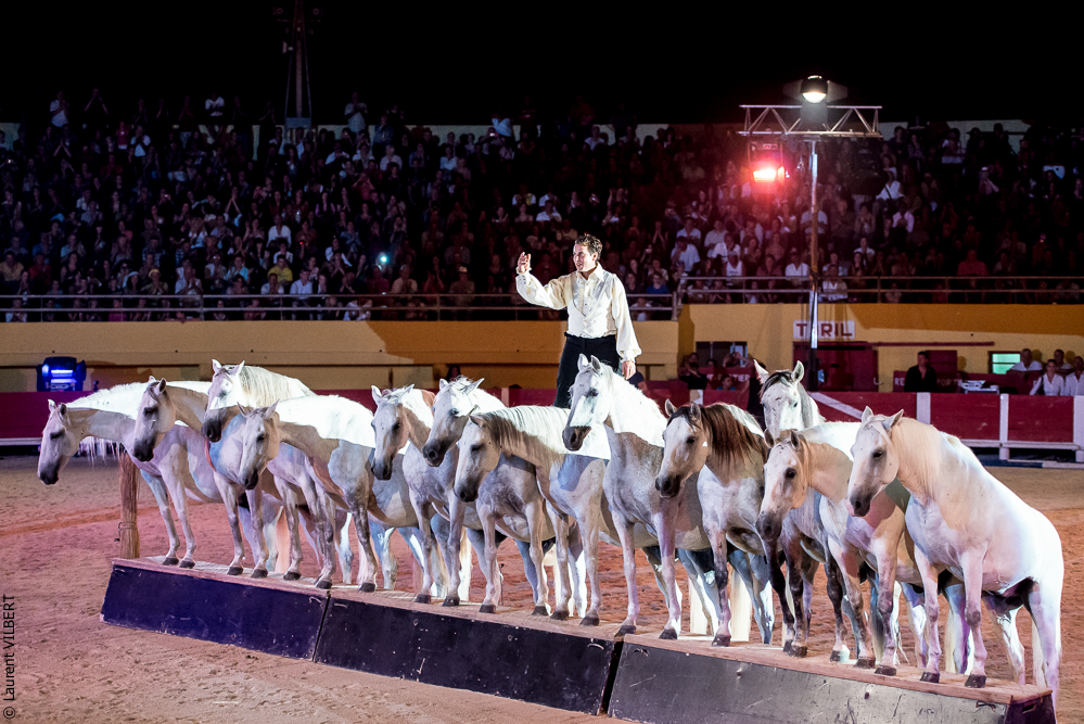 Saintes Maries 20130712-1544