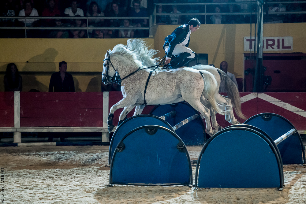 Saintes Maries 20130713-2015