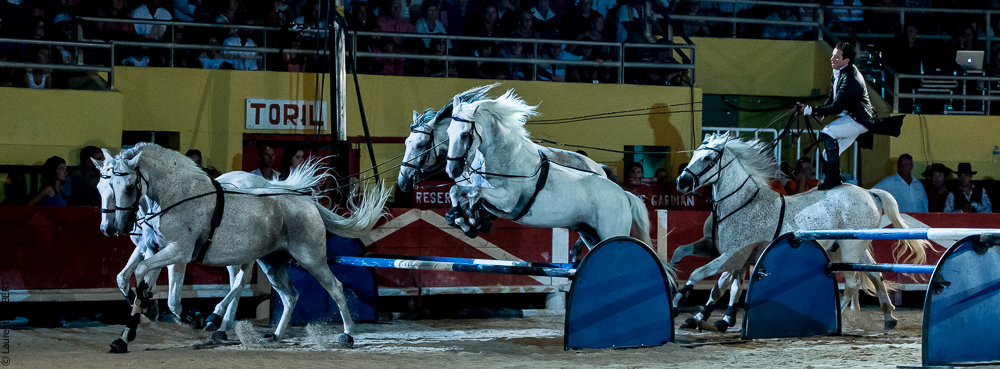 Saintes Maries 20130713-2023