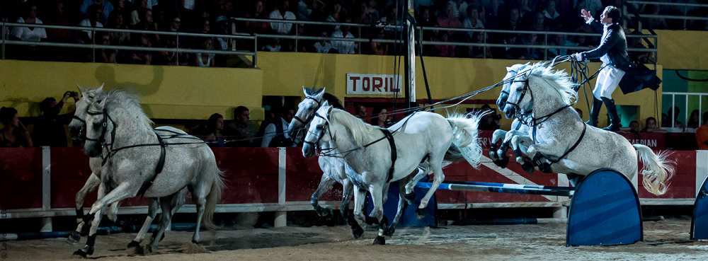 Saintes Maries 20130713-2025