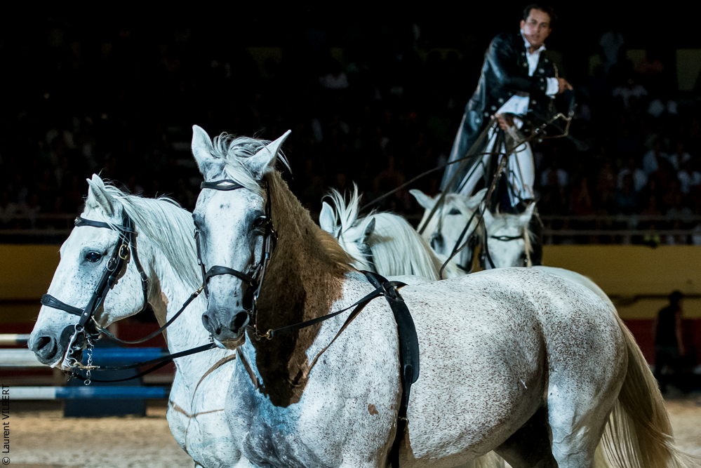 Saintes Maries 20130713-2035
