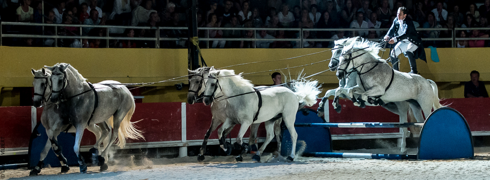 Saintes Maries 20130713-2080