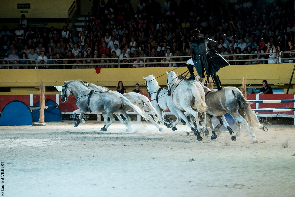 Saintes Maries 20130713-2090
