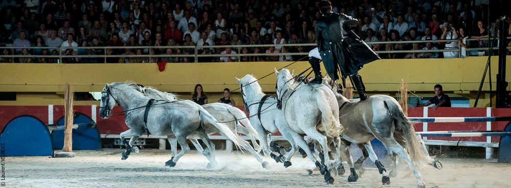 Saintes Maries 20130713-2090