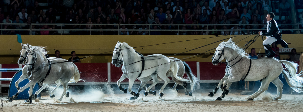 Saintes Maries 20130713-2092