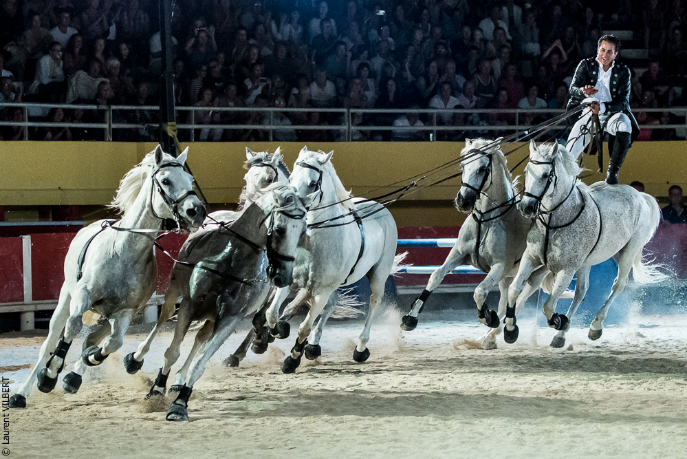 Saintes Maries 20130713-2098