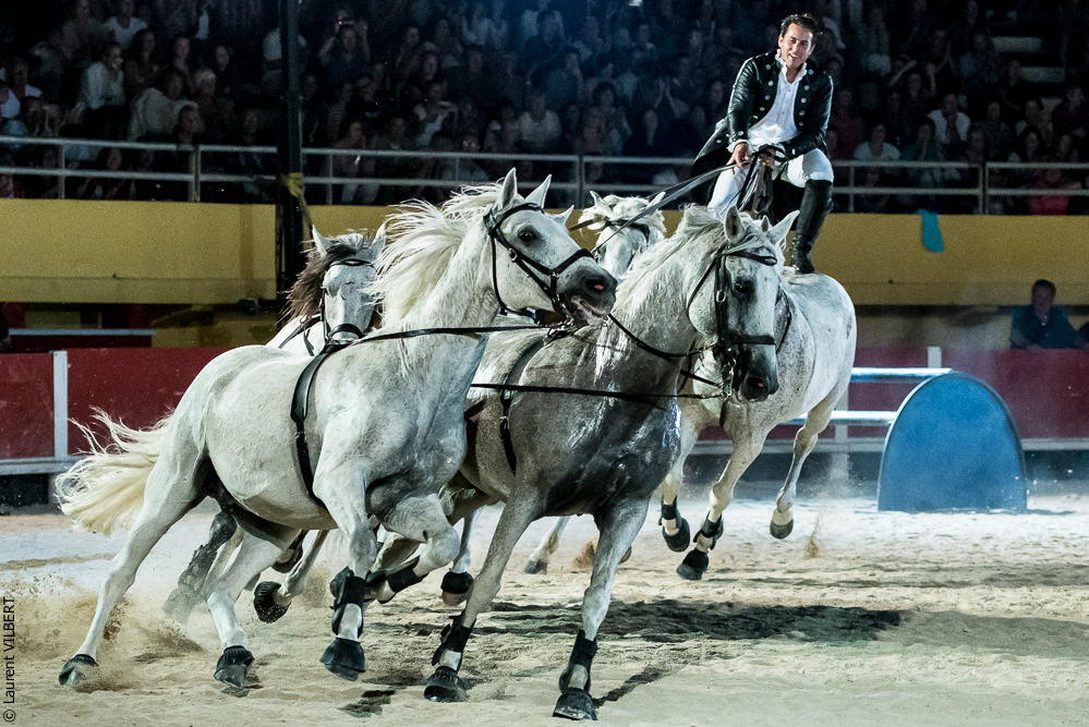 Saintes Maries 20130713-2099