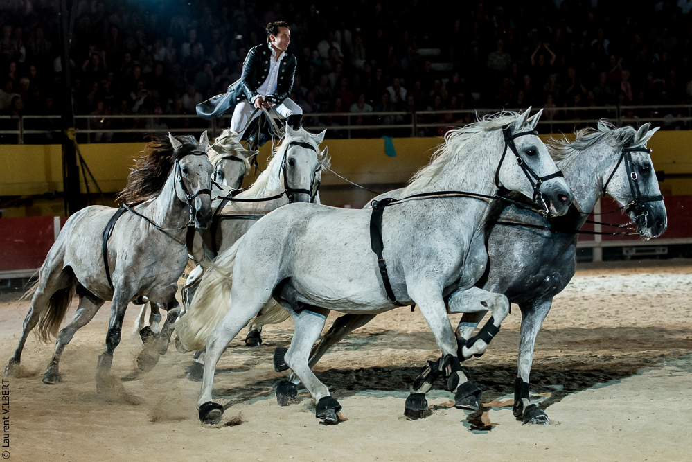Saintes Maries 20130713-2101