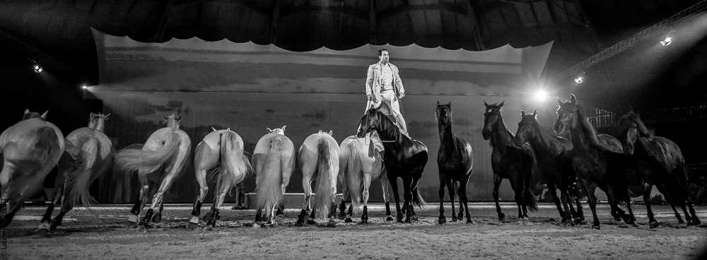 Cheval Passion 20150123-0426