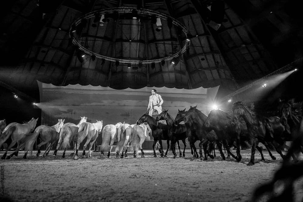 Cheval Passion 20150123-0427