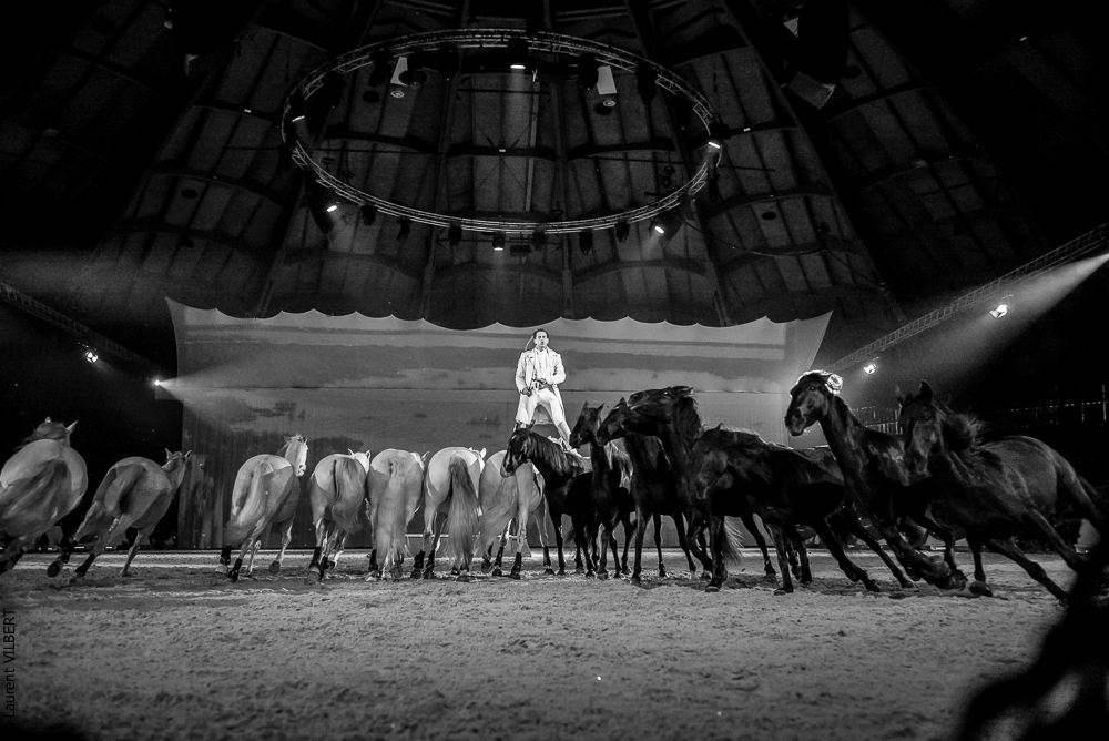 Cheval Passion 20150123-0434