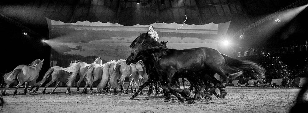 Cheval Passion 20150123-0435