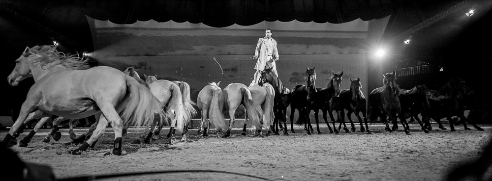 Cheval Passion 20150123-0437