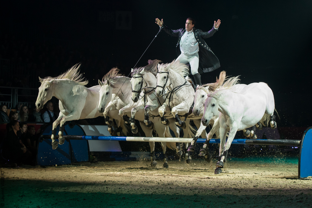 Cheval Passion 20160122-0798