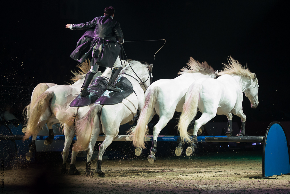 Cheval Passion 20160122-0809