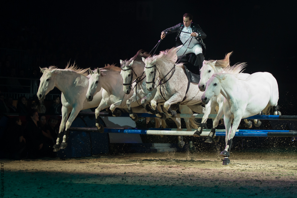 Cheval Passion 20160122-0812