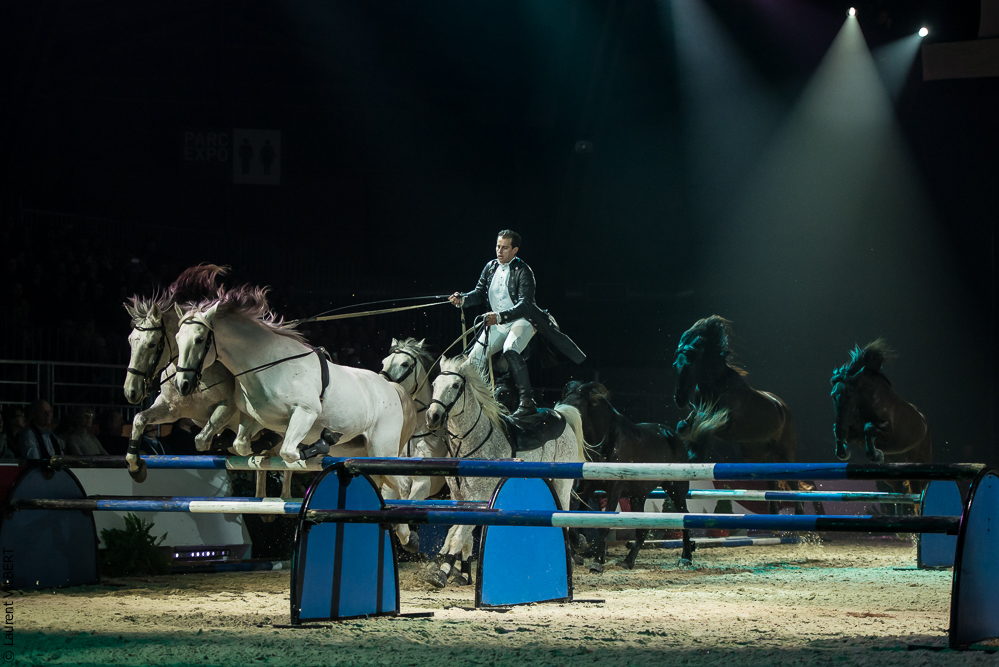 Cheval Passion 20160122-0841