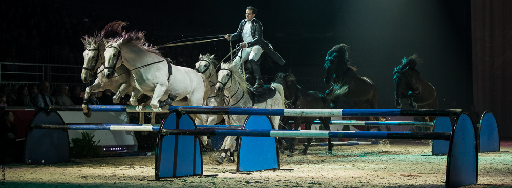 Cheval Passion 20160122-0841