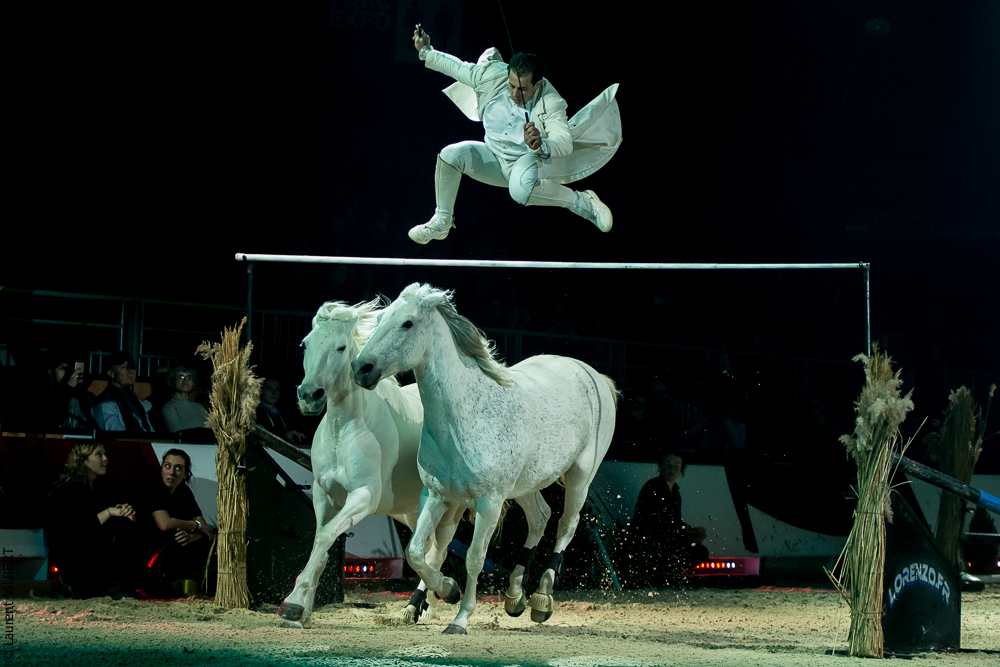 Cheval Passion 20160123-1950